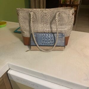 Brahmin Snakeskin Tote & crocodile wallet